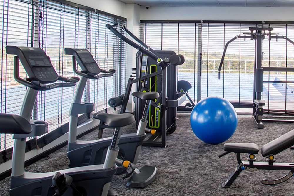 AMARYLLIS_gym