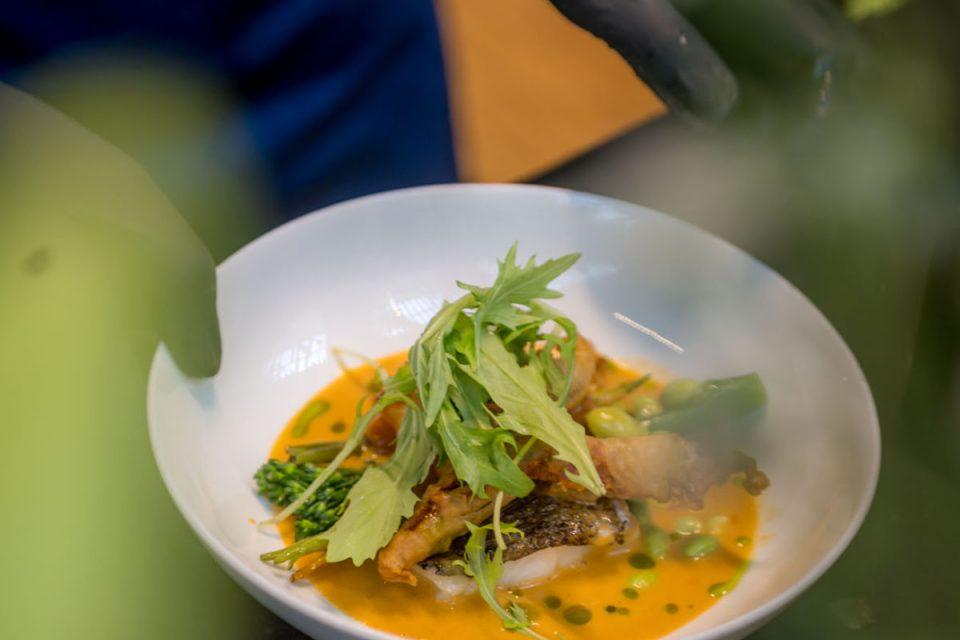 verzorde catering bij BMCC Brugge © Jan Darthet