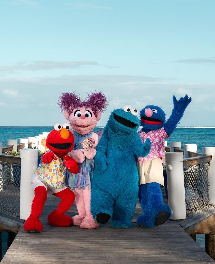Beaches Turks & Caicos image 17