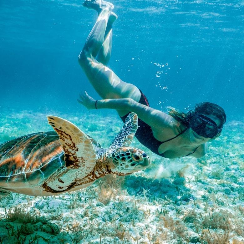 Beaches Turks & Caicos image 4