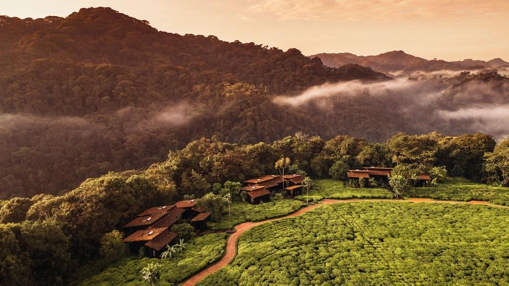 One&Only Nyungwe House image 4