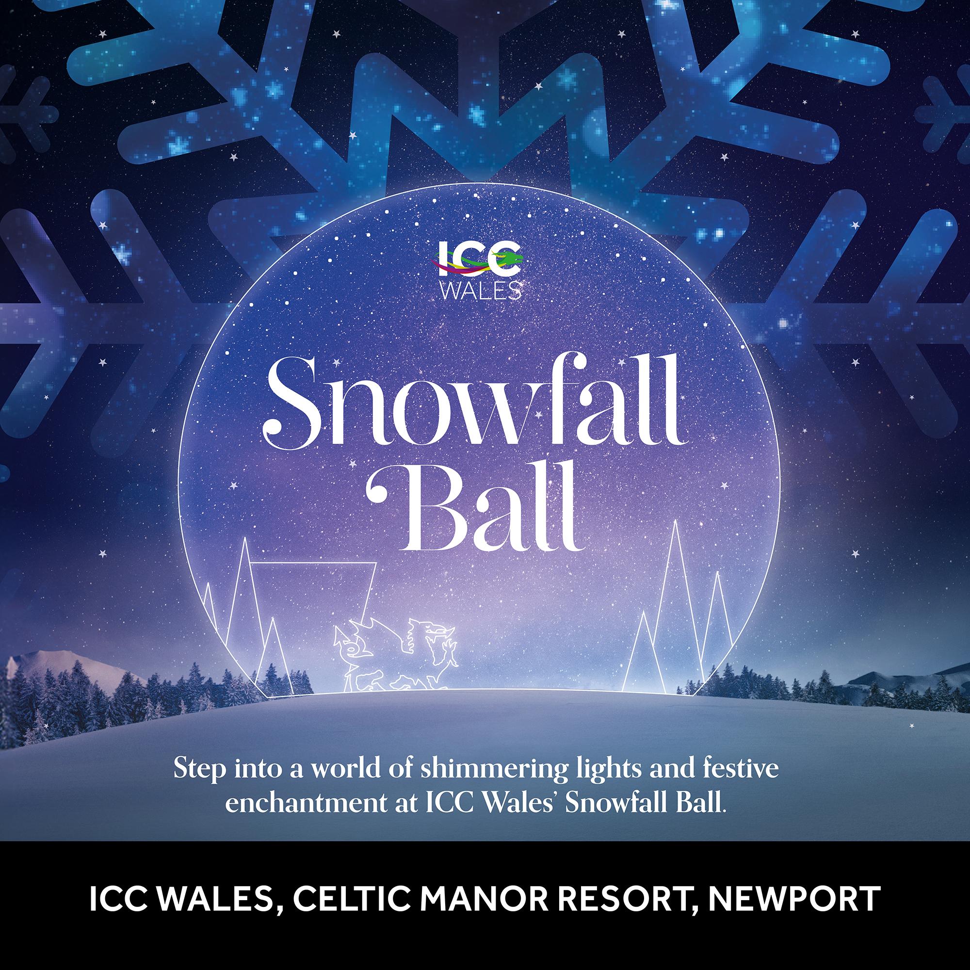 ICC Wales image 20