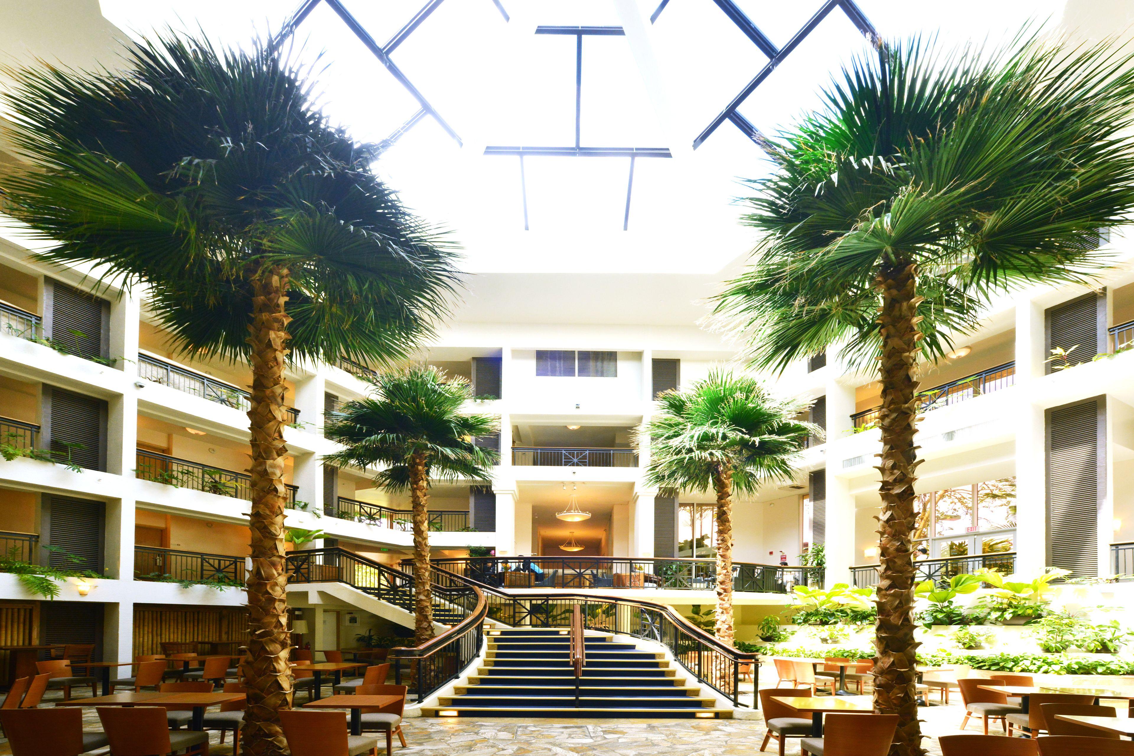 Hilton Guam Resort & Spa image 5