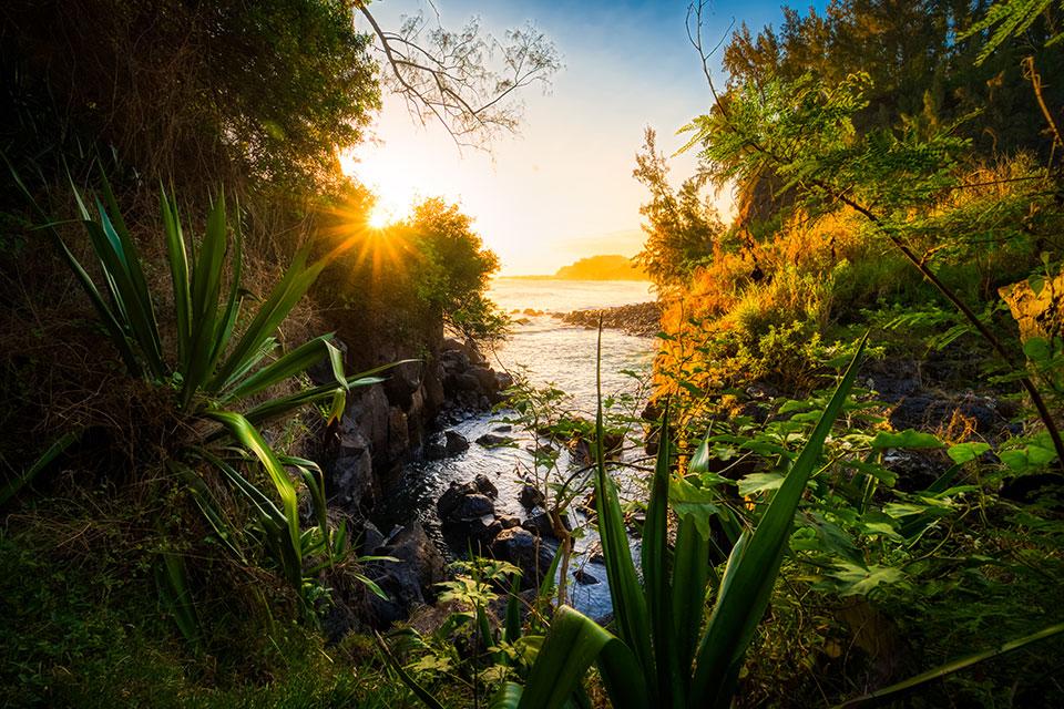 Paysage de La Réunion