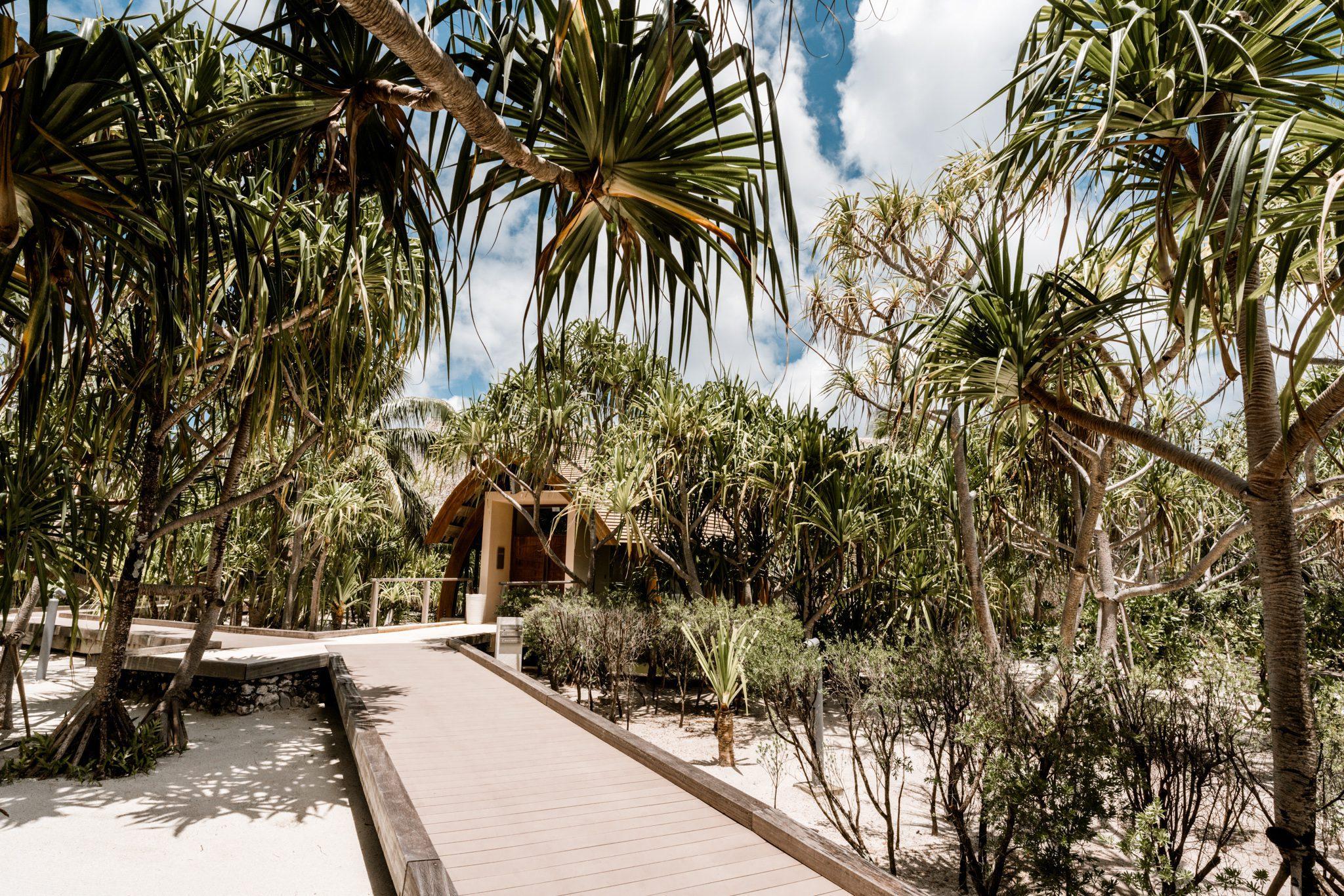 Wooden walkway above the sand, leading to the palm-covered entrance of our Polynesian spa