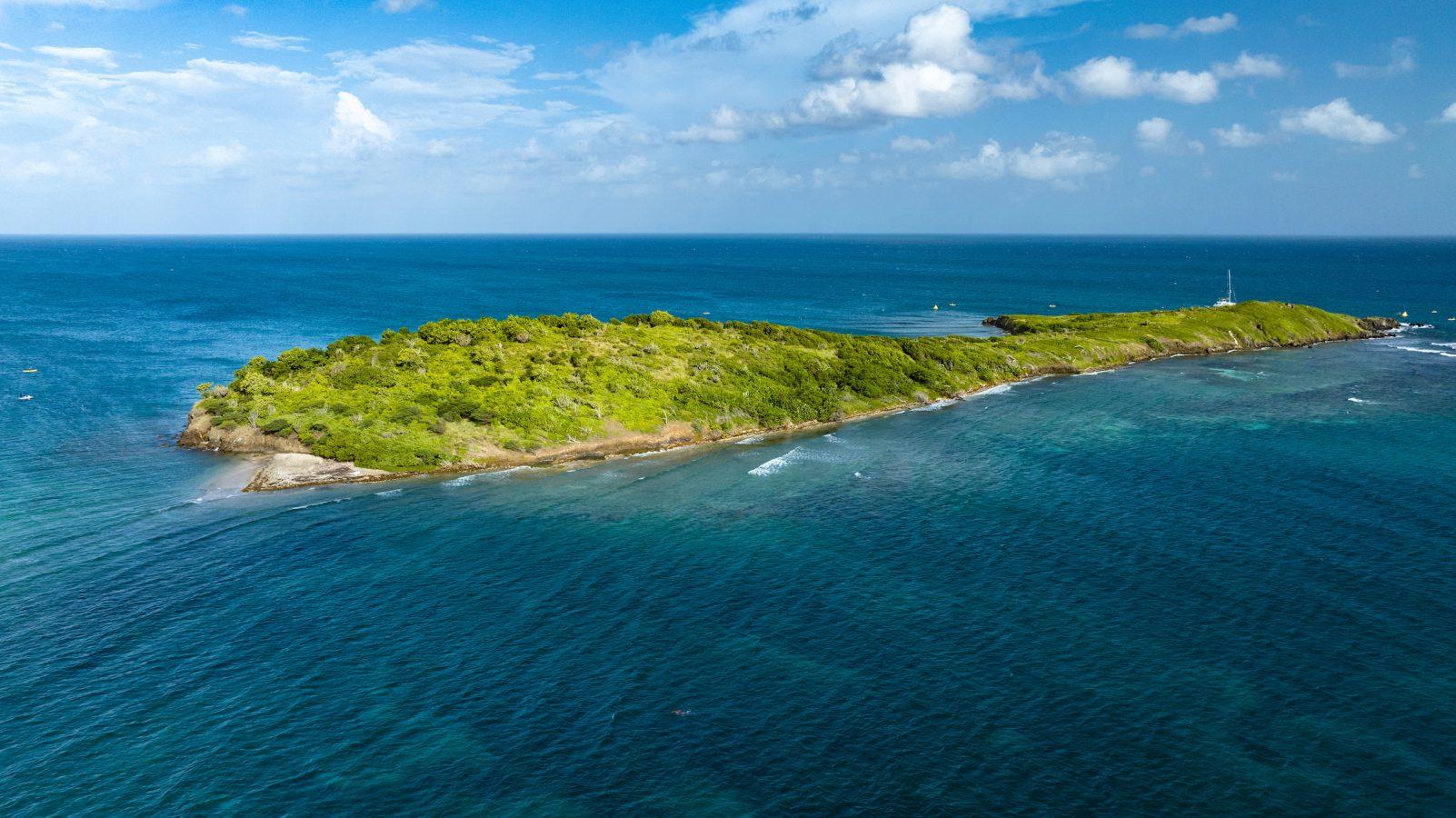 buck-island-st-croix
