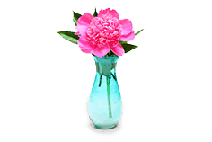 BANQUETS & EVENTS