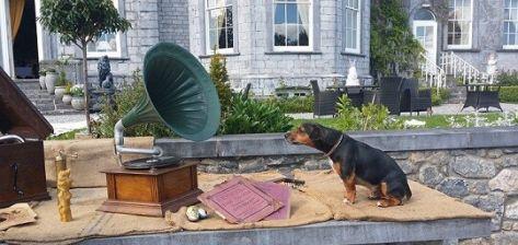 Castle Durrow image 4
