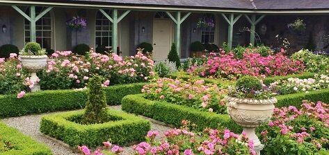 Castle Durrow image 5