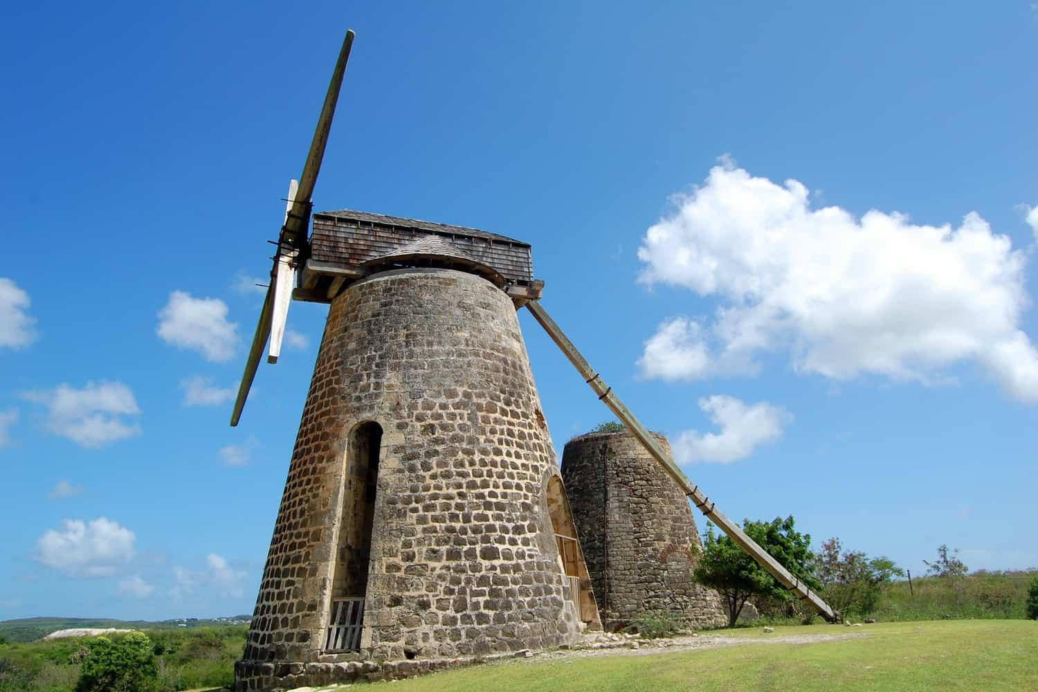 Tours & Excursions