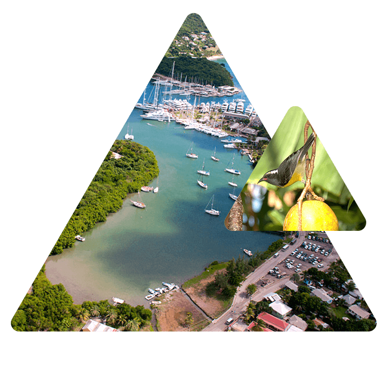Nelson's Dockyard National Park image 4