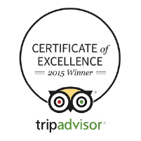 Trip Advisor Excellence