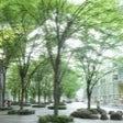 東京国際フォーラム image 12